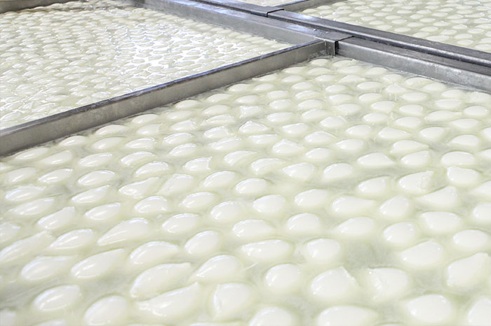 Mozzarella di latte di Bufala Mozzarella di latte di Bufala